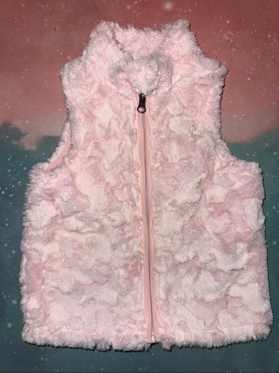 The North Face Other - The North Face Pink Plush Toddler Vest 3t
